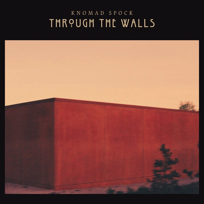 Cover of Through the Walls by Knomad Spock